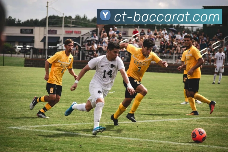 百家乐官网APP 高清赛事图