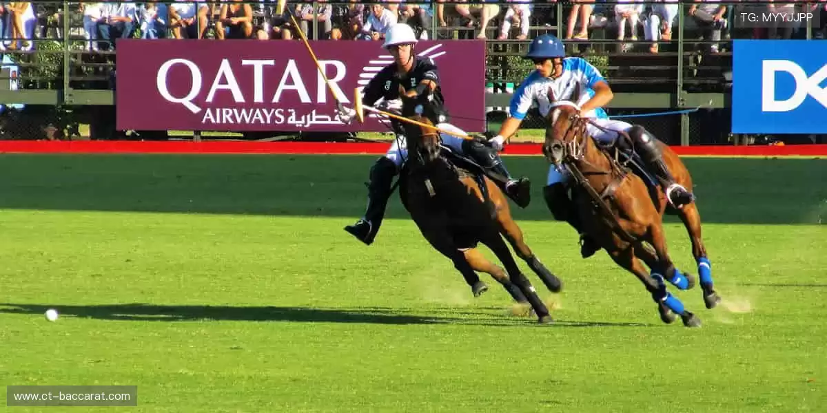 限量版纪念徽章，收藏属于你的体育记忆！🎖️